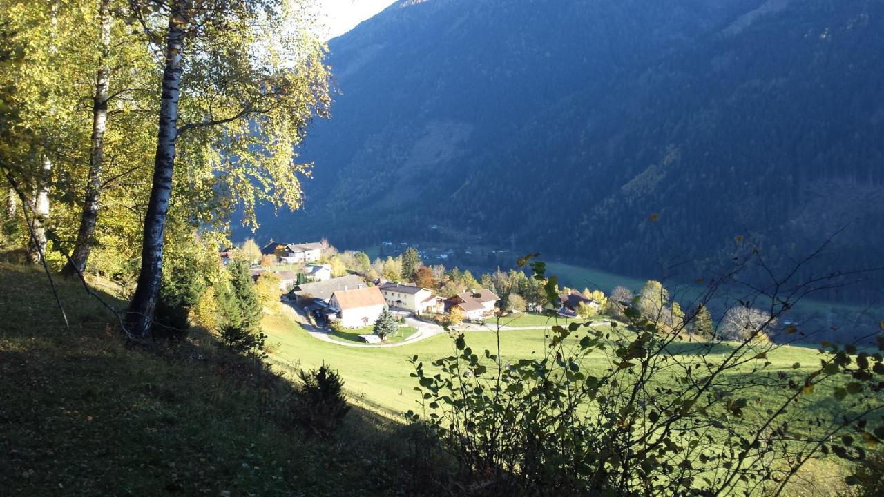 Ferienwohnung Am Bauernhof Zechner Heidi Flattach Extérieur photo